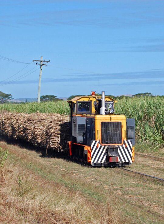 LAUTOKA / VUDA