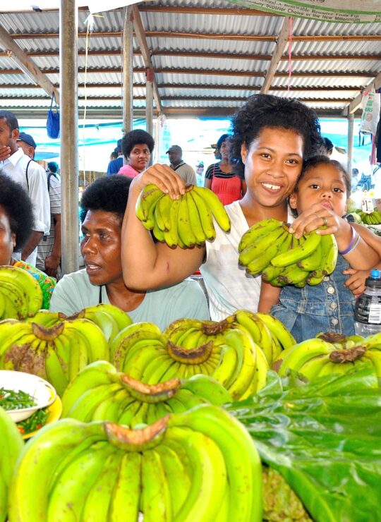 NAUSORI