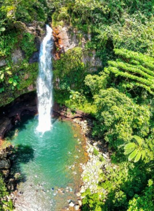 TAVEUNI