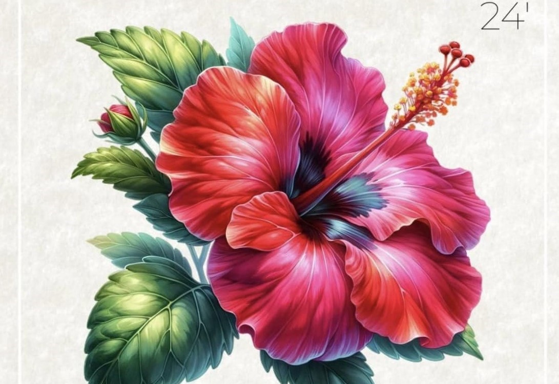 Suva revives iconic Hibiscus Festival