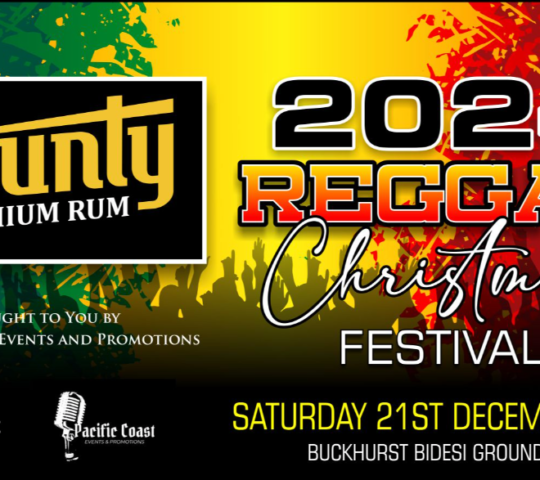 Reggae Christmas Festival (Dec 21st)