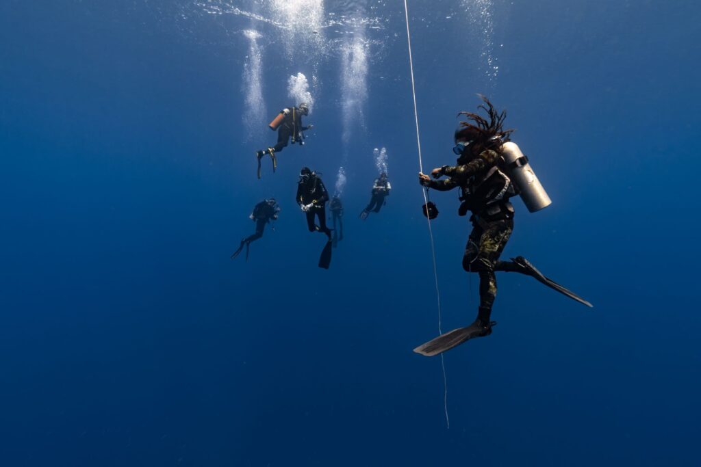 Deep dive. 
Emilien Frarier photo.