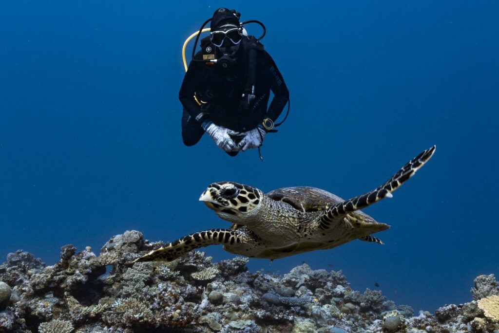 Diving the Great Sea Reef: A Journey into Fiji’s Untamed Blue