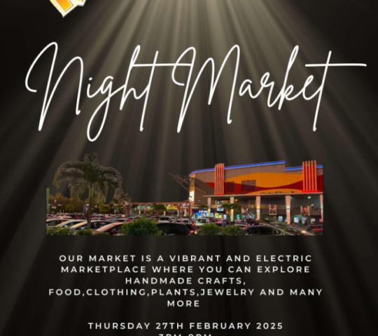 ROC Damodar Night Market (February 27)