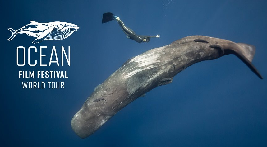 Ocean Film Festival World Tour – Fiji (June 8-July 18) Ocean Film Festival World Tour – Fiji (June 8-July 18)