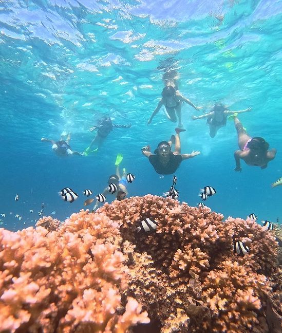Guests enjoying Ride & Slide snorkelling trip near Denarau.