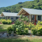 Embracing the Power of Pink