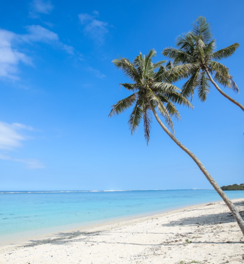 Fiji Airways Launches Direct Gold Coast Flights From June 2026