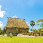 Suva to Host Pacific Arts Residency on Climate Change