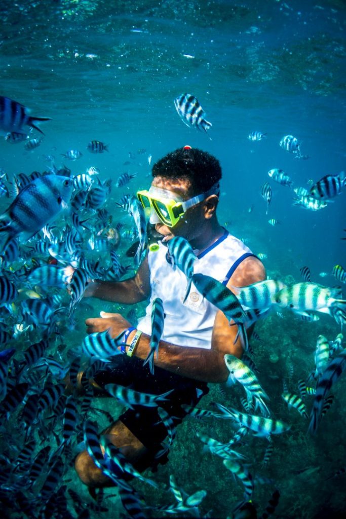 Snorkeller surrounded by vibrant fishes in crystal clear waters