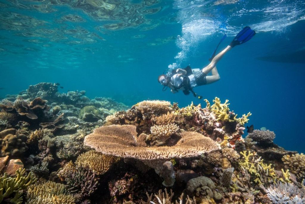 Dive In, Ladies: Fiji’s Reefs Are Calling This Women’s Dive Day