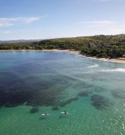 Building Resilient Reefs: Innovations in Coral Restoration