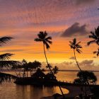 Own a Piece of the Pacific Vista: Warwick Invites the World to Buy Stock in Paradise